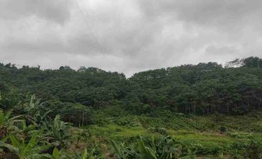 VENTA FINCA AGRÍCOLA- GANADERA MUISNE Km 21 Vía El Salto - Mompiche