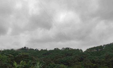 VENTA FINCA AGRÍCOLA- GANADERA MUISNE Km 21 Vía El Salto - Mompiche