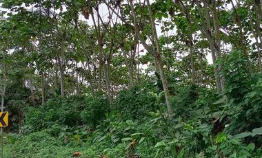 VENTA FINCA AGRÍCOLA- GANADERA MUISNE Km 21 Vía El Salto - Mompiche