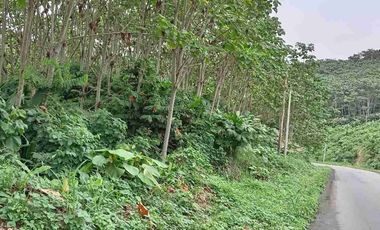 VENTA FINCA AGRÍCOLA- GANADERA MUISNE Km 21 Vía El Salto - Mompiche