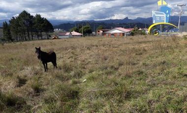 Terreno plano en venta para uso Industrial en Guangarcucho