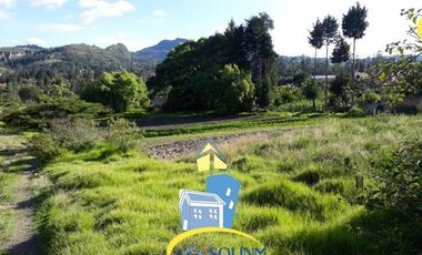 Terreno en venta con frente a Panamericana Norte sector Challuabamba