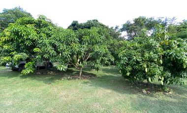 CASA EN VENTA CHUCUNI 15 MIN IBAGUE