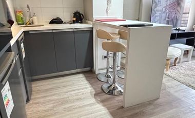 ARRIENDA DEPARTAMENTO AMOBLADO, 2D 2B 1B 59MTS2 SANTIAGO