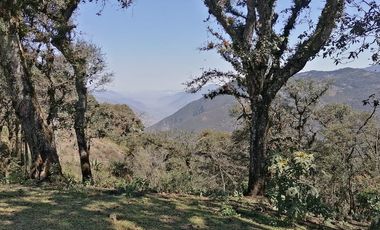 TERRENO EN VENTA EN PUERTO DEL AIRE