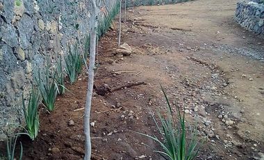 Terreno en Venta, Santo Domingo Ocotitlan, Tepoztlan Morelos