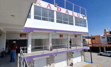 RENTA DE LOCALES EN TORRES CHICAS EN TOLUCA