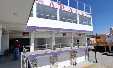 RENTA DE LOCALES EN TORRES CHICAS EN TOLUCA