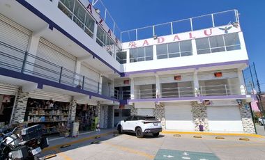 RENTA DE LOCALES EN TORRES CHICAS EN TOLUCA