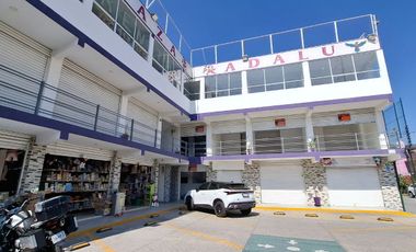 RENTA DE LOCALES EN TORRES CHICAS EN TOLUCA