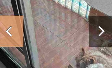 Departamento el Bosque