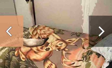 Departamento el Bosque