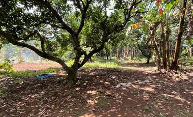 dijual tanah murah Cirendeu dekat MRT Lebak Bulus