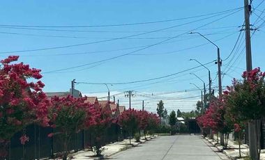 Excelente propiedad en arriendo o venta - Parque Las Palmas - Linares