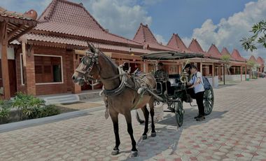 DISKON 50 JT! Rumah Joglo 400 Jutaan, Free Desain Ruang, SHM di Prambanan!