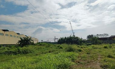 24,267sqm Industrial Lot for Lease in Elisco Road, Tipas, Taguig