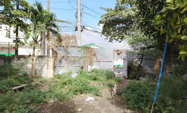 24,267sqm Industrial Lot for Lease in Elisco Road, Tipas, Taguig