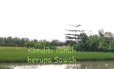 JUAL / SEWA TANAH Lokasi KOMERSIL Raya Juanda Sisi Utara, Surabaya