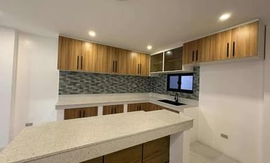 . 👉 Elegant 4BR Detached House in QC | 219sqm Lot | Kingspoint Katipunan | ₱23M - Gio
