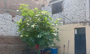 VENTA DE CASA COMO TERRENO, DE 3 NIVELES, 2 MINI-DEPARTAMENTOS, JARDIN, COCHERA, AZOTEA TECHADA