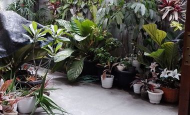 Turun Harga! Jual Cepat Rumah 3 Lantai Minimalis di Setraduta Pasteur Bandung