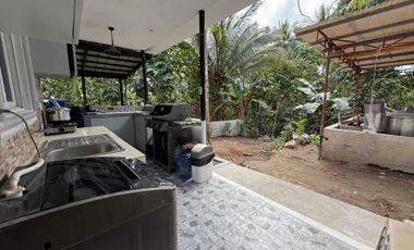 5.5M House and Lot in Valencia