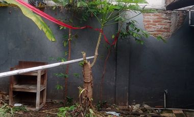 Rumah Luas dengan Halaman Depan & Belakang di Serdang, Jakarta Pusat