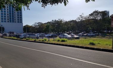 Commercial Lot For Sale in Alabang, Muntinlupa City