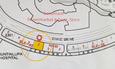 Commercial Lot For Sale in Alabang, Muntinlupa City