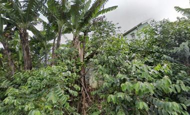 Dijual Cepat Tanah Pinggir Jalan, View Gunung Sejuk Cikole Lembang Bandung