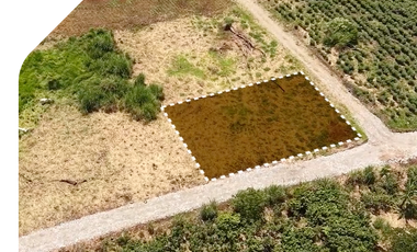 Terrenos en Logroño - Morona Santiago, Terreno en la Amazonía de Ecuador.