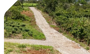 Terrenos en Logroño - Morona Santiago, Terreno en la Amazonía de Ecuador.