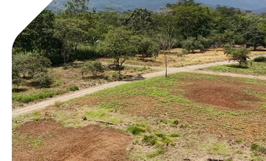 Terreno con facilidades de pago en Logroño Ecuador, Terrenos en venta cerca de Sucúa. Lotes con facilidades de pago en Logroño Morona Santiago.