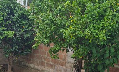 Se arrienda hermosa casa en Donatello, Cerro Larraín