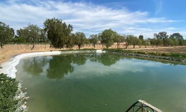 Terreno en VENTA en Rincón de Romos