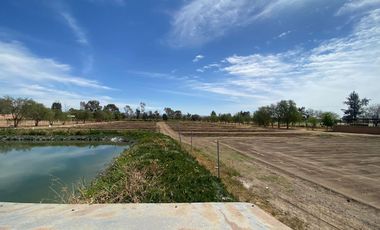 Terreno en VENTA en Rincón de Romos