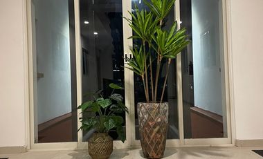 CONDOMINIOS SAN MIGUEL