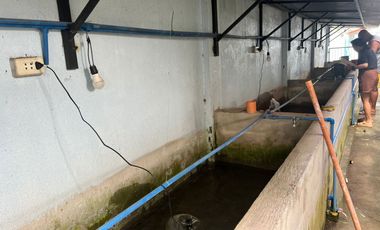 HOUSE AND LOT WITH POOL FOR SALE ID 15071