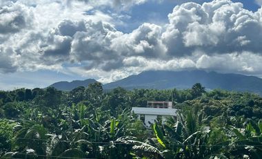 HOUSE AND LOT WITH POOL FOR SALE ID 15071