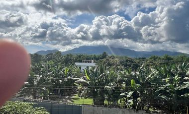 HOUSE AND LOT WITH POOL FOR SALE ID 15071