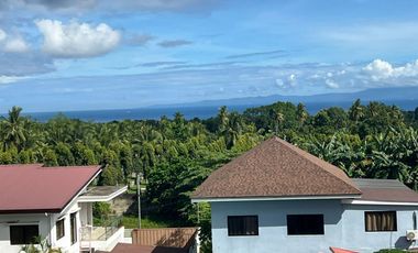 HOUSE AND LOT WITH POOL FOR SALE ID 15071