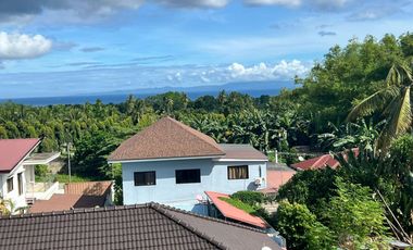 HOUSE AND LOT WITH POOL FOR SALE ID 15071