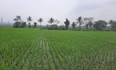 Dijual Tanah di Padalarang, SHM Lokasi Strategis Cocok untuk Investasi