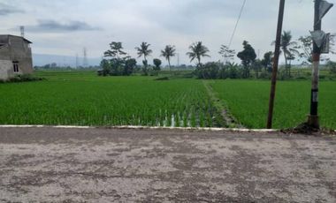 Dijual Tanah di Padalarang, SHM Lokasi Strategis Cocok untuk Investasi