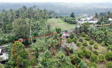 Tanah kebun di Gn Salak Selemadeg Timur Tabanan Dkt Eco Bali Stay Manca Restasurant