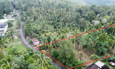 Tanah kebun di Gn Salak Selemadeg Timur Tabanan Dkt Eco Bali Stay Manca Restasurant