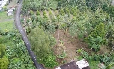 Tanah kebun di Gn Salak Selemadeg Timur Tabanan Dkt Eco Bali Stay Manca Restasurant