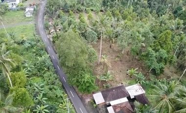 Tanah kebun di Gn Salak Selemadeg Timur Tabanan Dkt Eco Bali Stay Manca Restasurant
