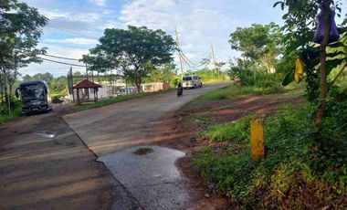 DIJUAL TANAH INDUSTRI BATANG, LUAS 52HA