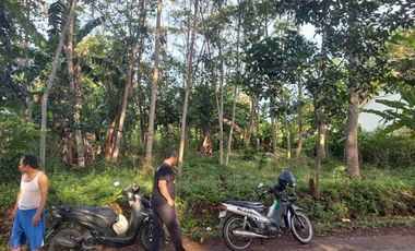 DIJUAL TANAH INDUSTRI BATANG, LUAS 52HA